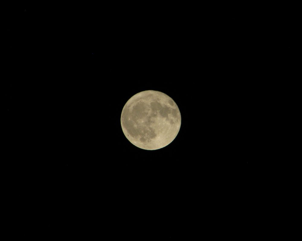 59d843d6a537b_IMG_3874HarvestMoonCrop.thumb.jpg.5e8e1a892339ab36066b0a37202a9237.jpg