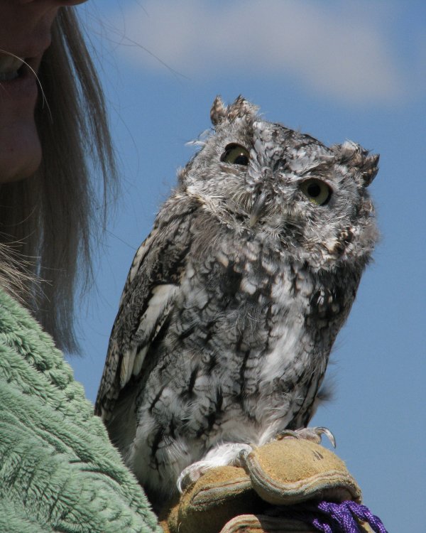 IMG_3250_Artemis_Crop.thumb.jpg.c8692ad9dabbe66ff361a90a59100580.jpg