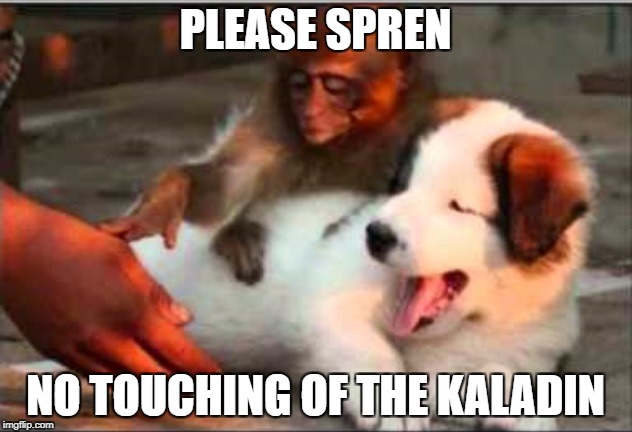 5a01eadc18f54_KaladinSylMeme.jpg.71999f84777113e32b5dcd416bcdf2af.jpg