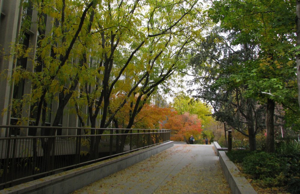 IMG_4525_Walkway_Crop.thumb.jpg.7f6949c6c250b31ca6a5056fecc72b13.jpg