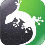 The Gecko