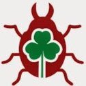 Clovermite