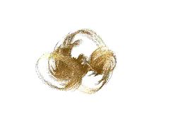 Julia_set_3d_slice_animation.ogv.jpg.8034e3bfe8d96b60fd3e4215da319ab9.jpg