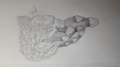 Shellhead