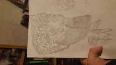 20171213_190916.jpg