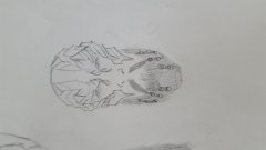 Another shellhead
