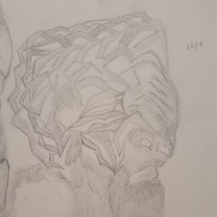 Shellhead