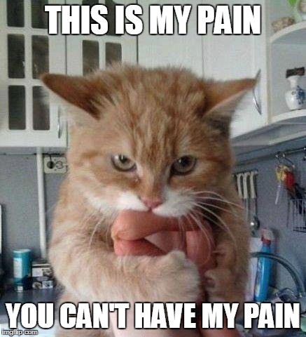 pain2.jpg.27abbef58ef80c6d68e5ddde24d87e1d.jpg