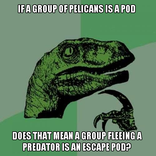 5ae940150cbde_PhilosoraptorPelicanPod.jpg.1dd15140e7dcbd8c6082bcf6d184e3a2.jpg