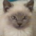 Lucy