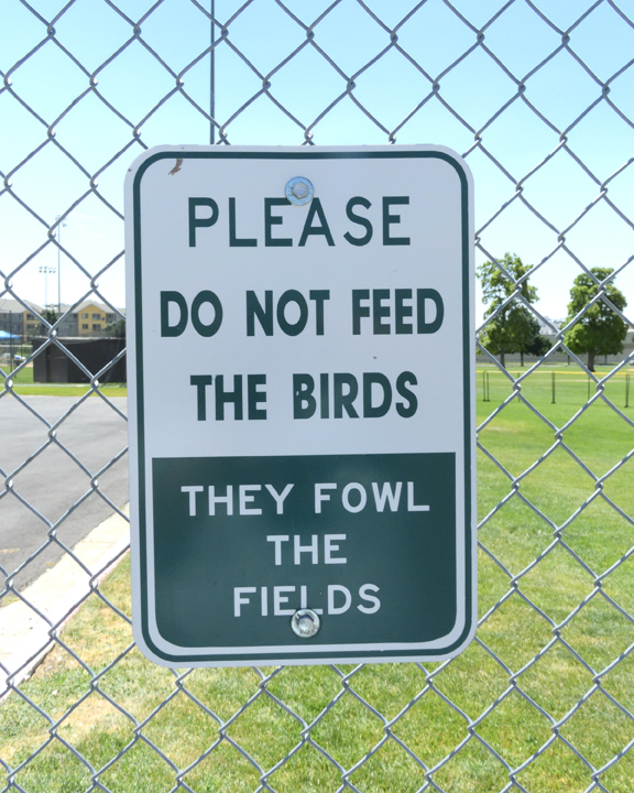 5b22f9439a42c_DSCN1276PunnySignCrop.jpg.9a2d6f05afbe57d72098675a4862aba8.jpg
