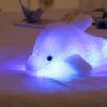 Stormblessed Dolphin