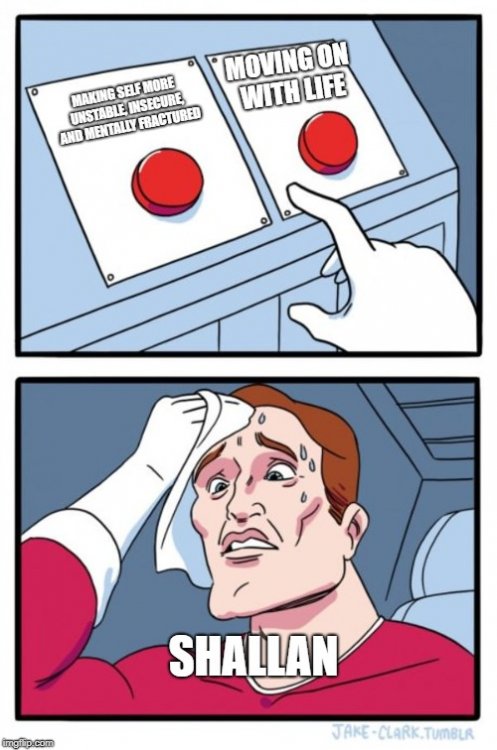 Shallan Choices.jpg