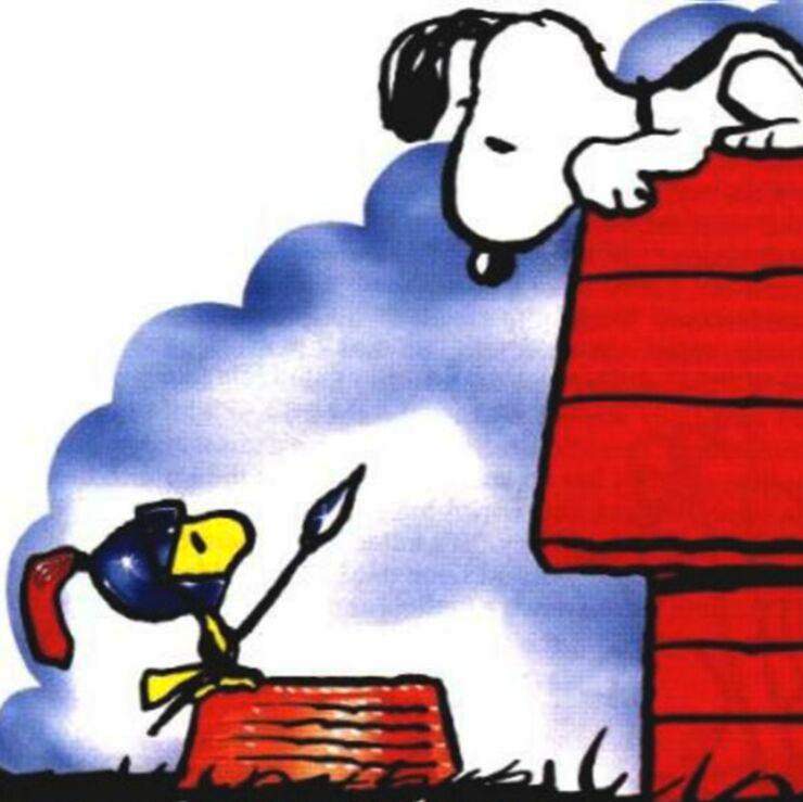 snoopy_woodstock.jpg.afb5e14a7e5243f9cde3a4ee06d22b58.jpg