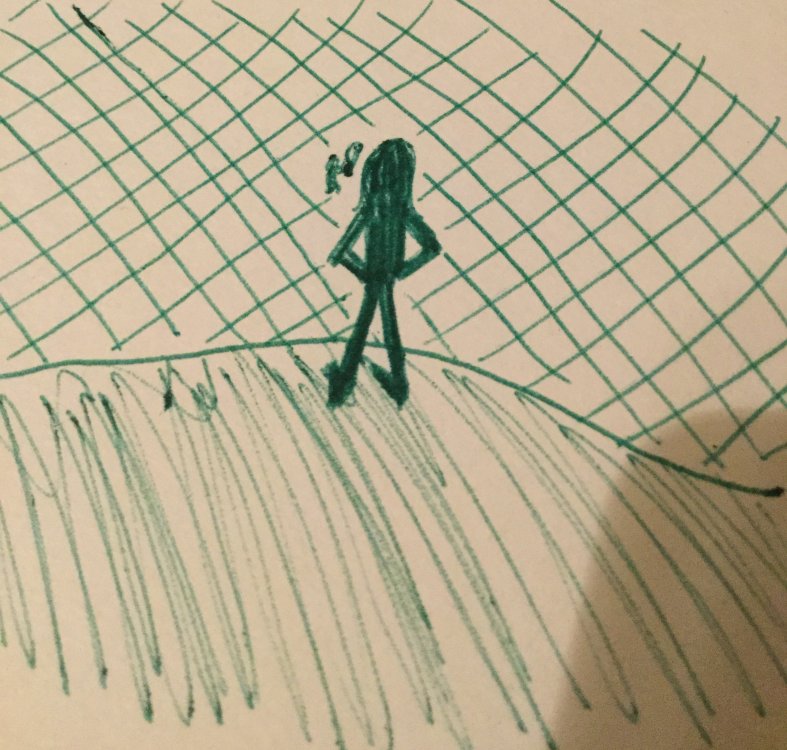 9AA72245-AE98-467E-9ABA-F004B51E75F6.jpeg