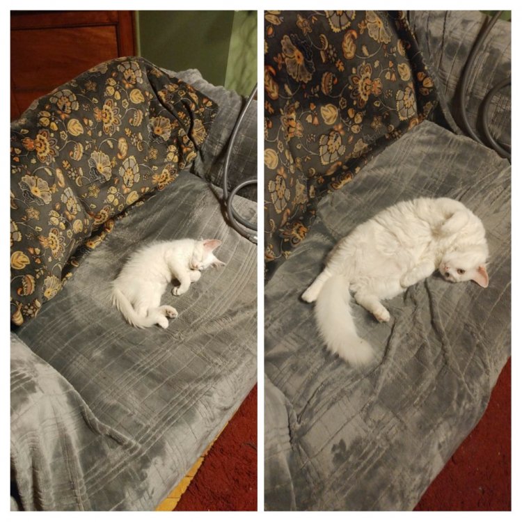 20181011_212117-COLLAGE.jpg
