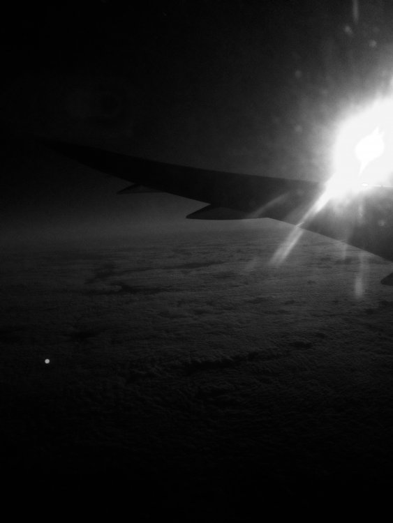 1CE05E8B-179B-488C-BF4B-F1F57FD7C144.jpeg
