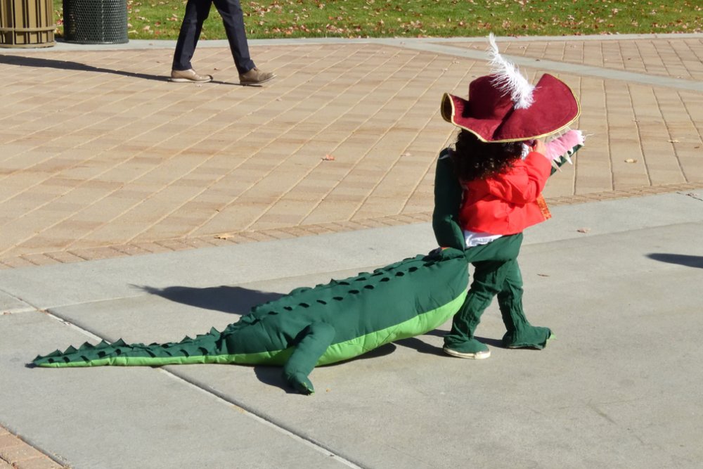 5bdb76f47c216_DSCN5708CaptainHookandCrocodile.thumb.jpg.f1551cbd9f13aba5eef53396acb1f92c.jpg