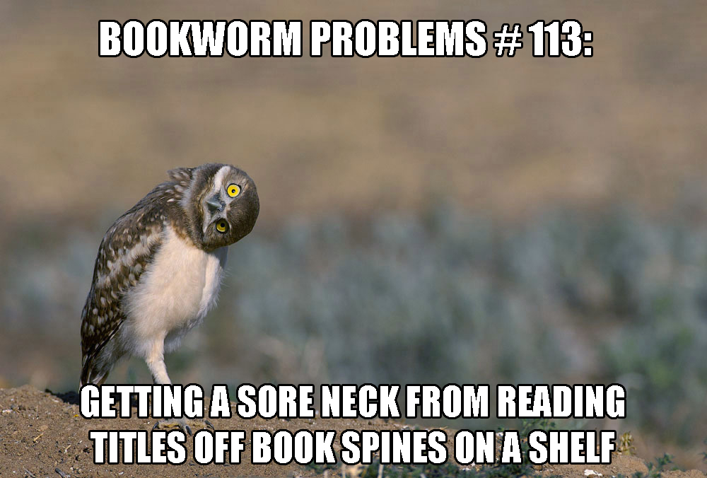 5be7e4390f87a_BookwormProblemsBurrowingOwlSoreNeck.jpg.6f918280ece28f1b515d53cfb212fbe4.jpg