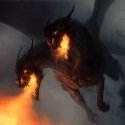 Amphisbaena