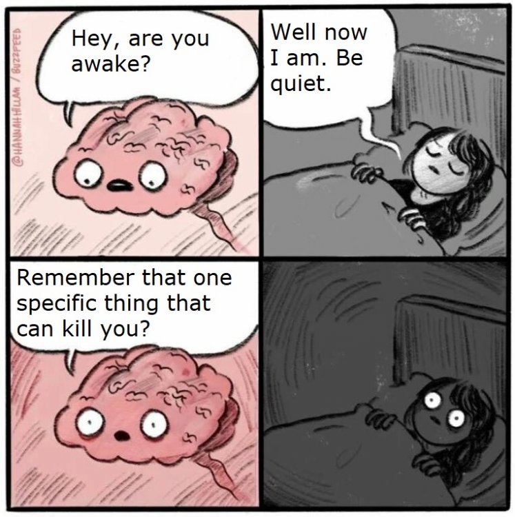 5c51214606d17_BrainBeforeSleep02082018123405.thumb.jpg.c20fab43e21c66221069306cc8fb6960.jpg