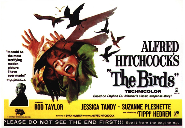 BirdsPoster.jpg.59af22644e45bec8e5502598927339a4.jpg