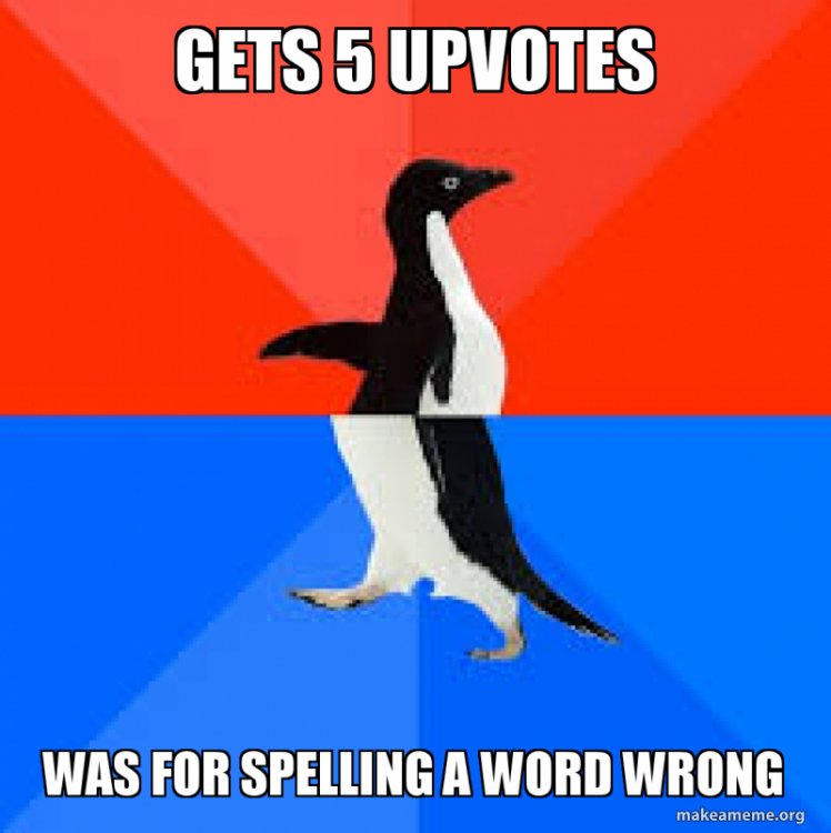 gets-5-upvotes.jpg