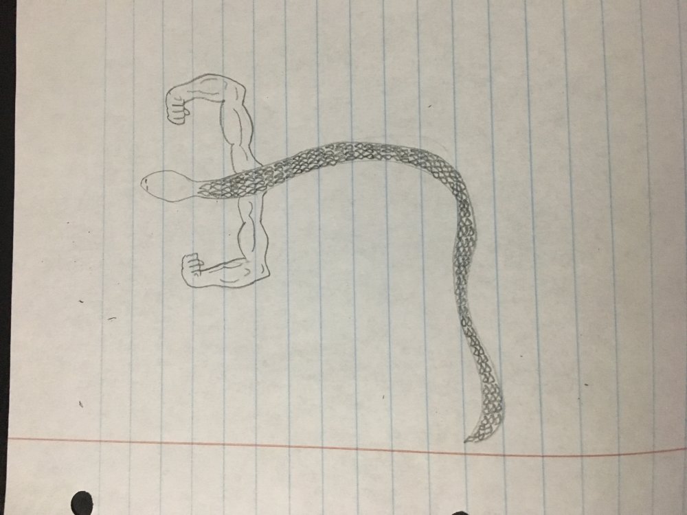 image.jpg