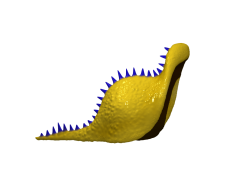 Doomslug