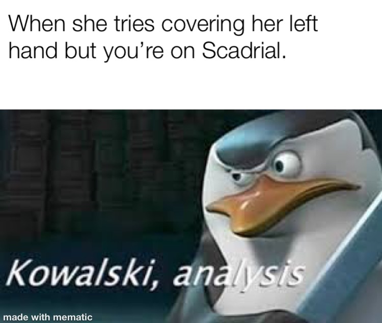 image10.jpeg.b4e2d6faeaa078c00555dd9a6c3ec01e.jpeg