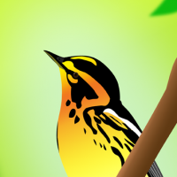 Sunbird