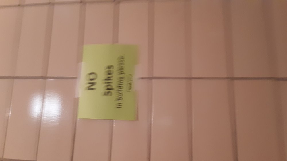 20190425_160258.jpg