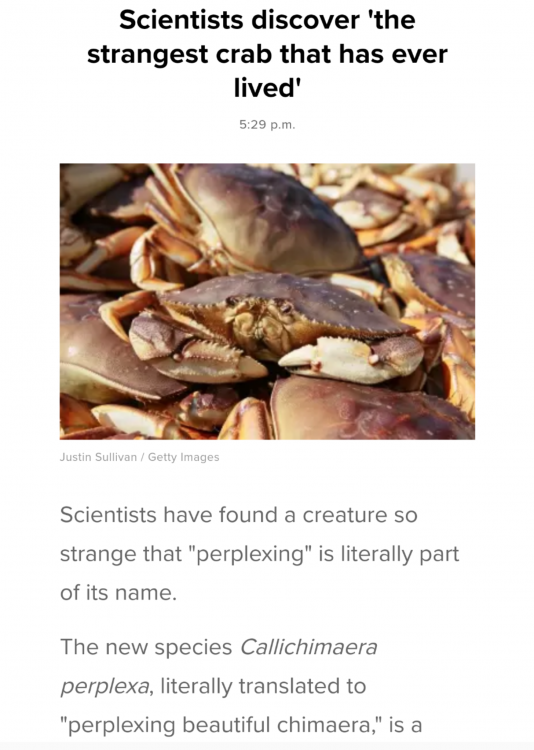 Screenshot_20190424-220315.thumb.png.a2d11fd11176717fd1430968a08486d0.png