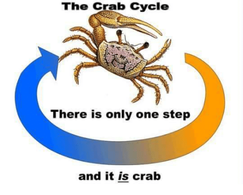 crab.png.3fa957bd0bb5db2674944452a3a43701.png