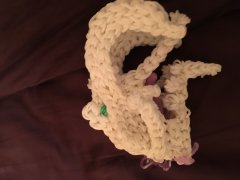 Whitespine head side view