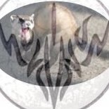 HemalurgicBeaverOfDeath