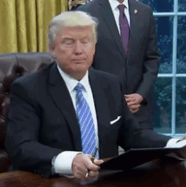 illegal-2.gif.8e8769830fd545dbc0c1a7eed32929b3.gif