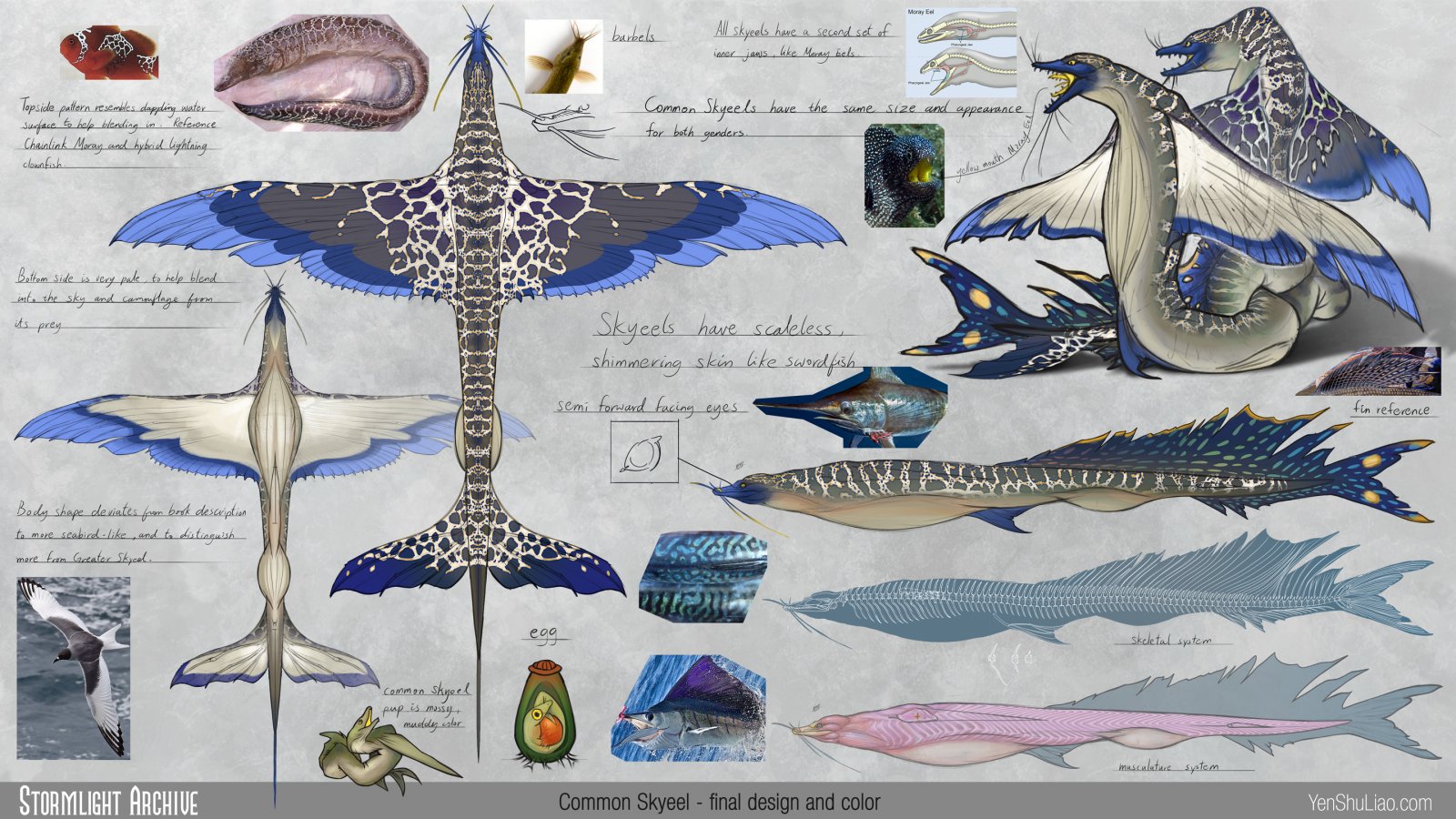 The Common Skyeel - final design