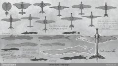 The Common Skyeel - initial sketches