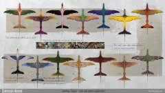 The Common Skyeel - color exploration