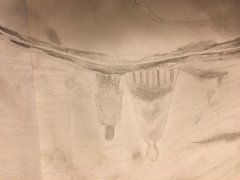 40FD070E-0806-44AA-ADF1-442C08C25AA9.jpeg