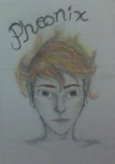 Narrator Pheonix