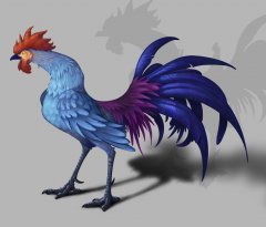 Storming Chicken