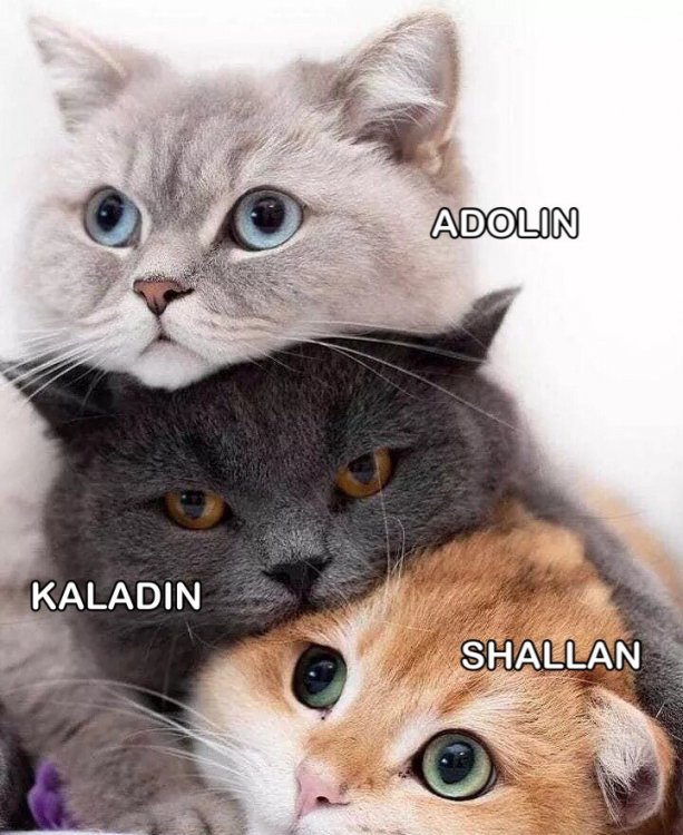 tumblr_pspd7ik0hU1uzvyt7o1_1280.jpg