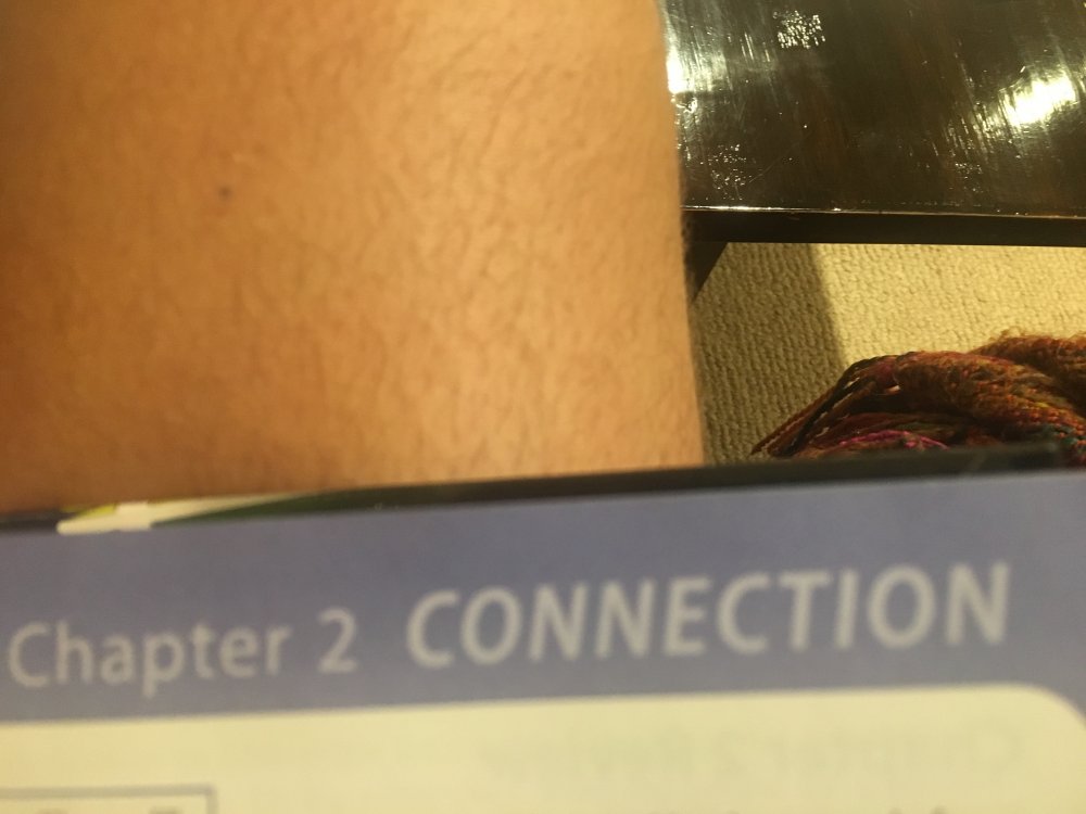 148C2346-5ED6-4842-9023-36B8F0D5F2C8.thumb.jpeg.3bb839c1343ca5837d8f0a6d4ae40b89.jpeg