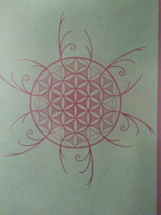 (a) Pattern by Hopse 2019_10 7.jpg
