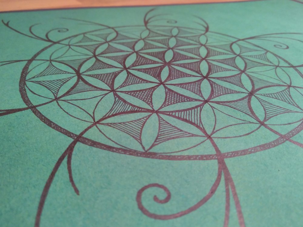 (a) Pattern by Hopse 2019_10 2.jpg