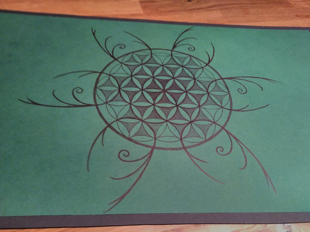 (a) Pattern by Hopse 2019_10 1.jpg