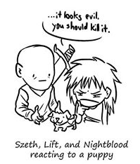 5db7974f8c2ad_Szethliftandnightblood..png.e29660520d64a2e19746b60b37ad2694.png