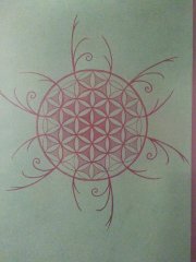 Pattern on my Cupboard.jpg